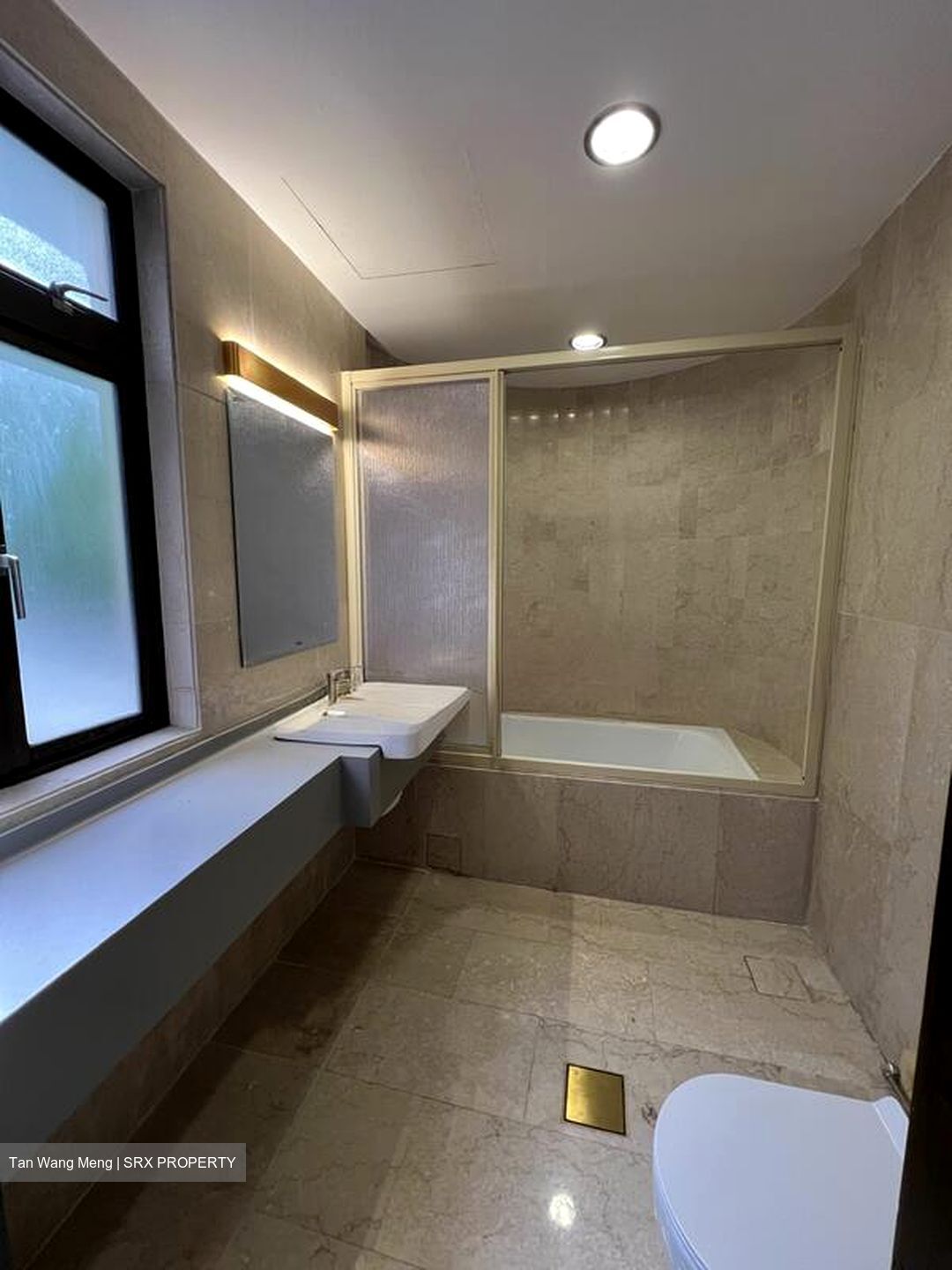 The Balmoral (D10), Condominium #498477501